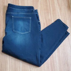 Maurice Jeans 22W Skinny Stretch Blue whisked